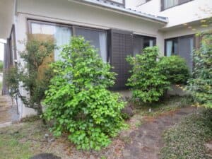 管理できなくなった愛着の庭、時を経てリガーデンヘ