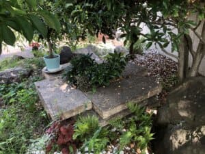 管理できなくなった愛着の庭、時を経てリガーデンヘ