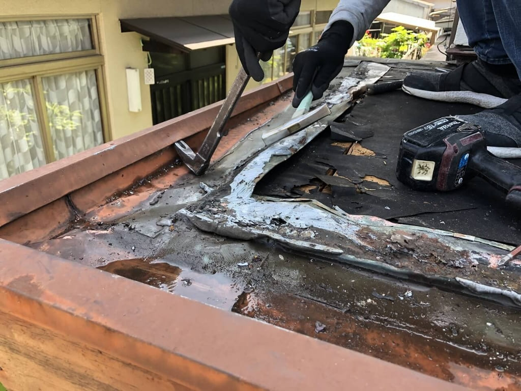 玄関･玄関庇リフォーム事例